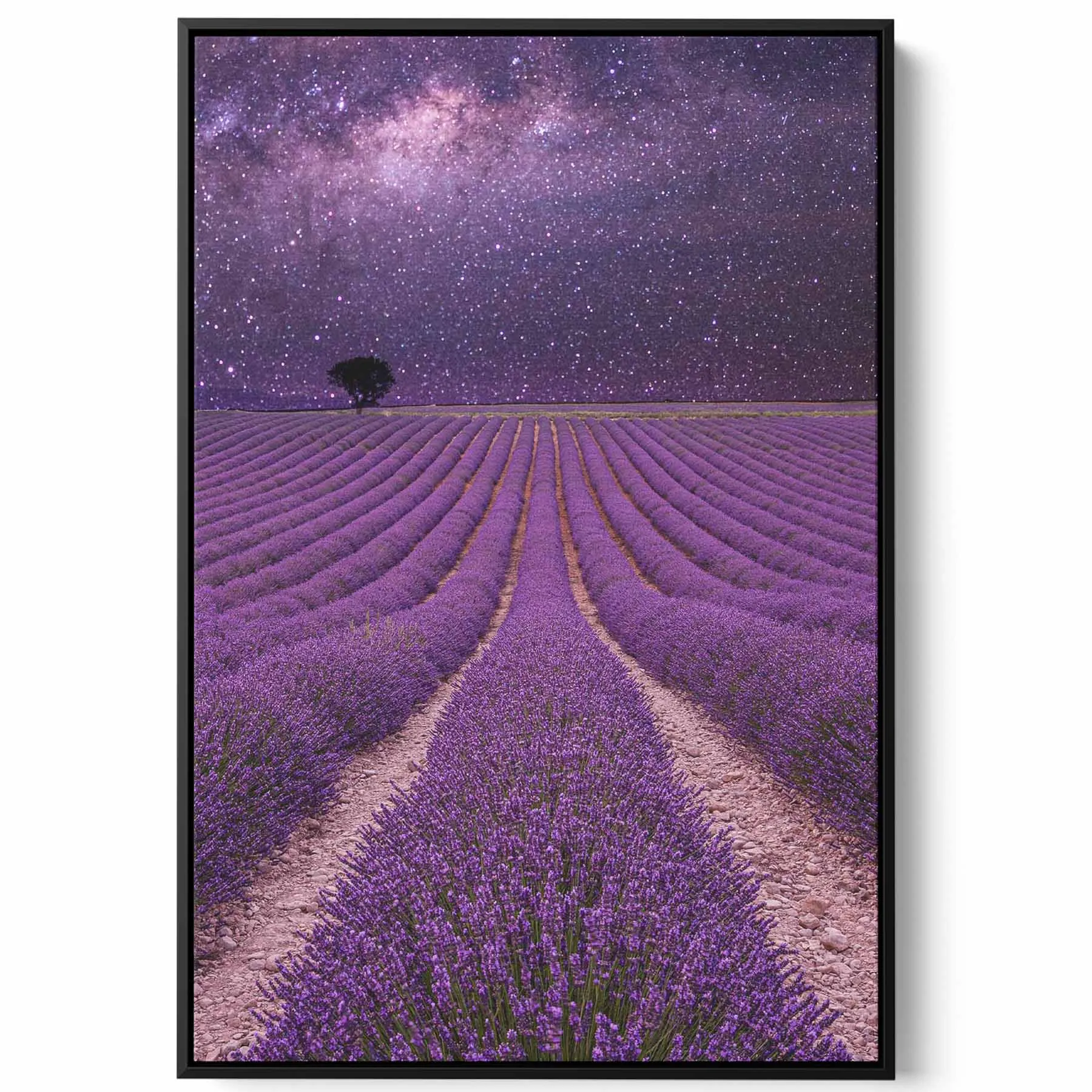 Canvas Wall Art Stretched Over Wooden Frame with Black Floating Frame