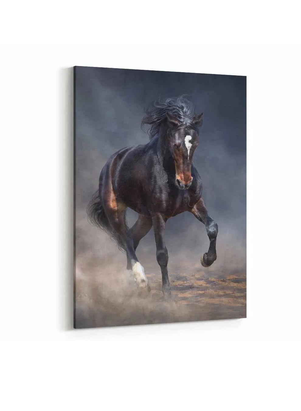 Canvas Wall Art Stretched Over Wooden Frame with Gold Floating Frame