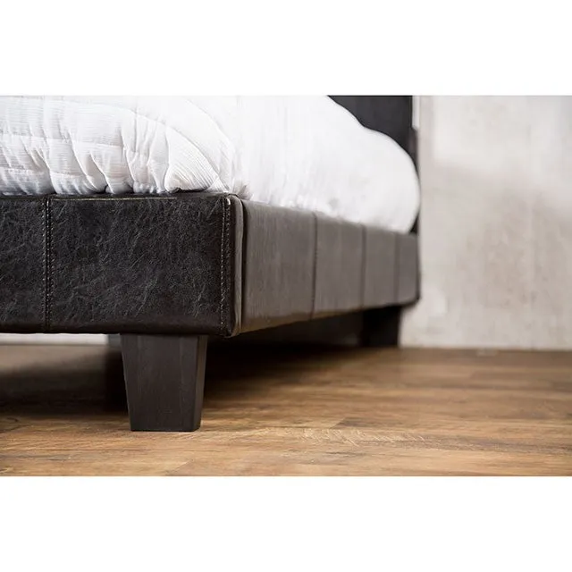 Evans Bed Espresso