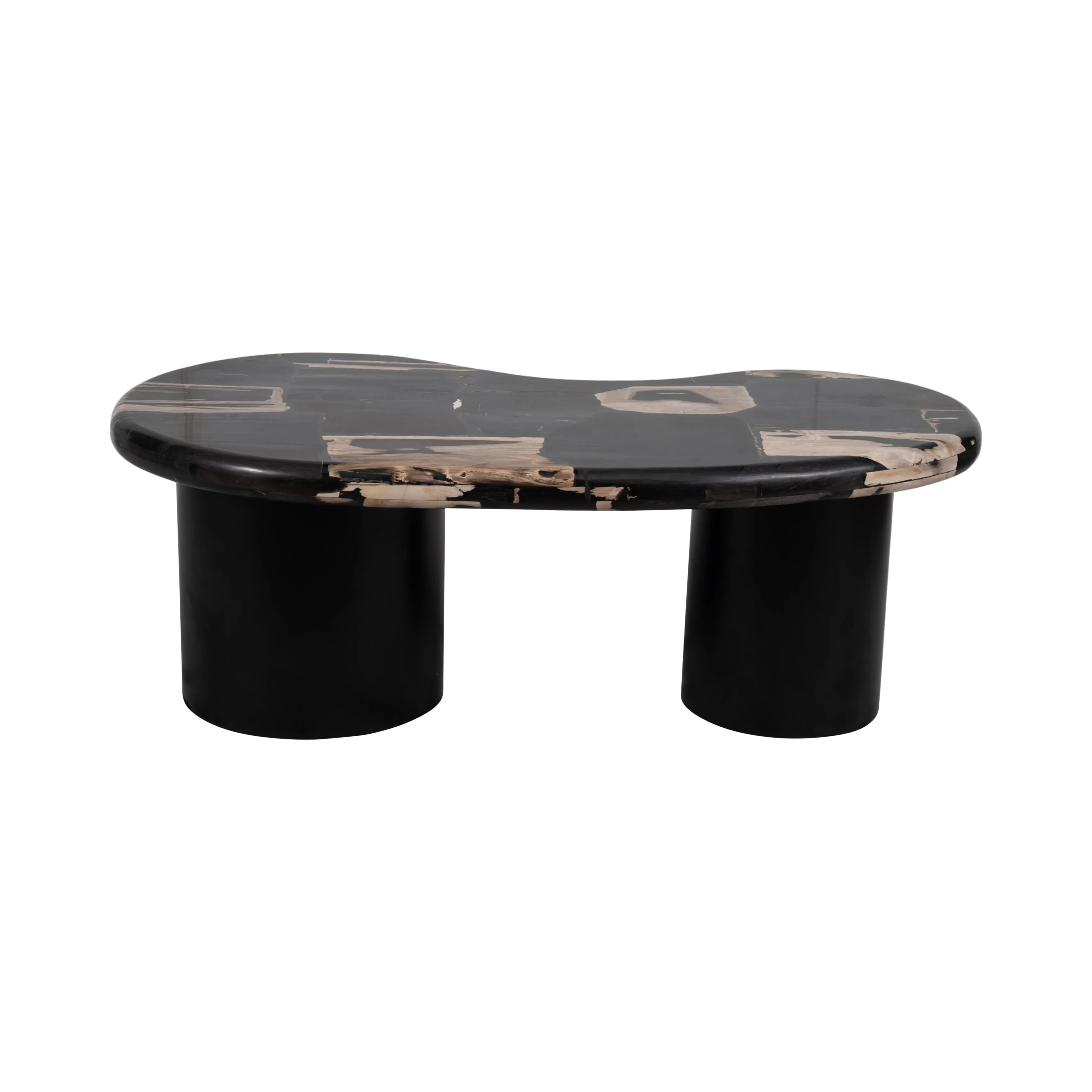 Petrified Wood, 51" Kidney Coffee Table, Black