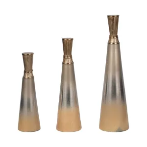 S/3 13/16/20" Tanet Metallic Glass Bottles