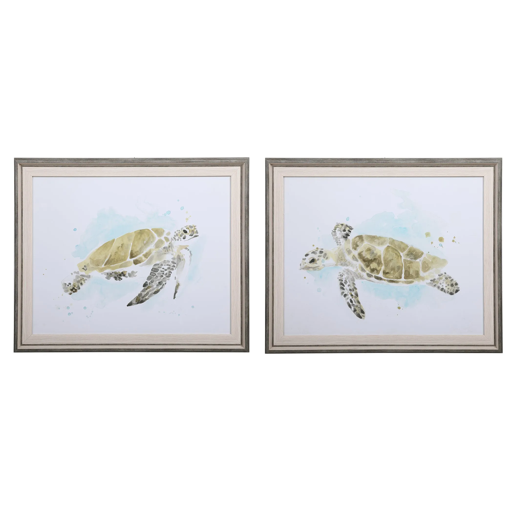Sea Turtle Study Framed Prints, S/2