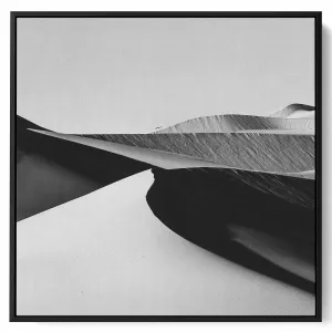 Square Canvas Wall Art Stretched Over Wooden Frame with Black Floating Frame and Flower Art Painting